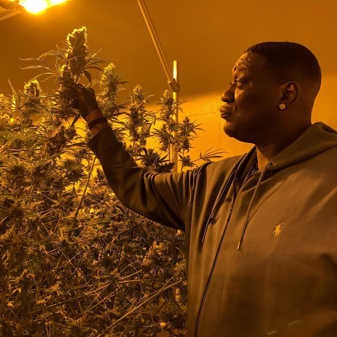 Shawn Kemp examining cannabis plants under grow lights in his cultivation facility